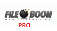 Fileboom PRO 30 дней