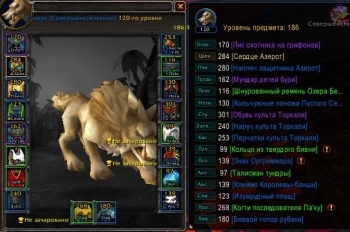 Аккаунт №97999945652 Wow Circle Bfa 8.3.7 Х11 Шаман Троль М Орда