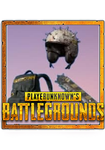 PUBG: GRIM GOALIE Equipment